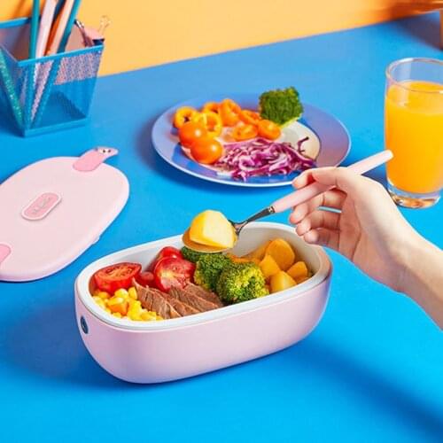 Portable Electric Lunch Box Rice Cooker Heating Lunch Box Food Warmer Heated Container Ceramic Liner Water Free 800ml 24V