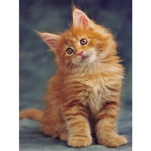 Cat Animal DIY Cross Stitch 11CT Embroidery Kits Needlework Craft Set Printed Canvas Cotton Thread Home Dropshipping