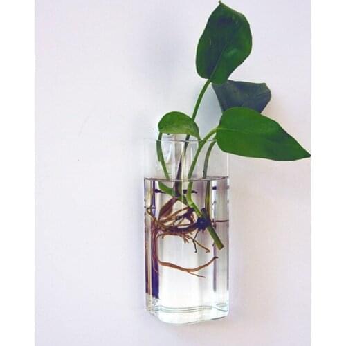 Rectangle Simple Fish Tank ing Glass Flower Vase Terrarium Container