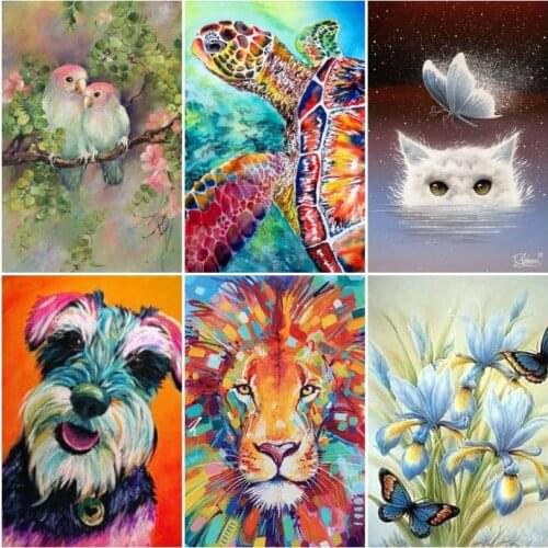 VANJUU Paintings By Numbers