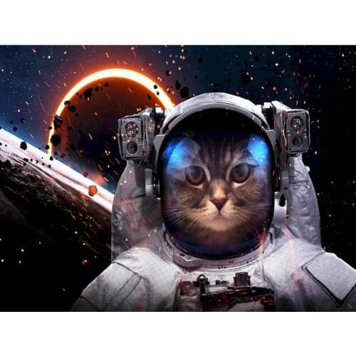 CHENISTORY 5D Diamond Painting Space Full Square Diamond Embroidery Animal Cat Picture Rhinestone Mosaic Kits Home Decor Gift
