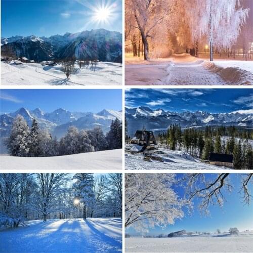 SHENGYONGBAO Art Fabric Photography Backdrops Prop Winter landscape Theme Photography Background 200309HD-09