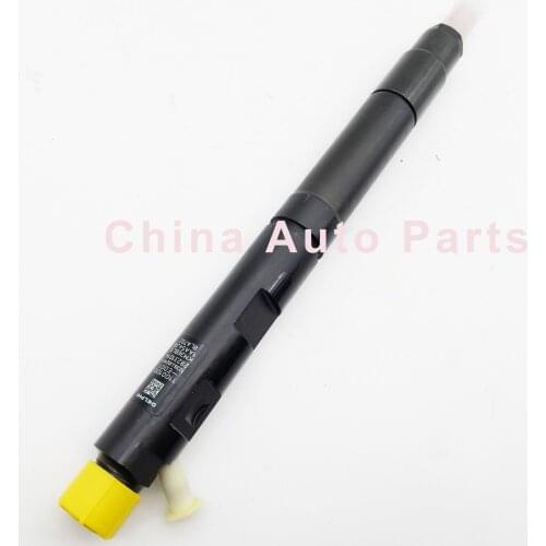 Fule Injector Nozzle EJBR04601D，EJBR02601Z,EJBR04501D,EJBR04701D，EJBR03401D , 1100100-ED01 1pc