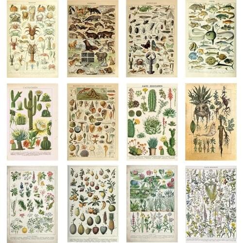 Retro Canvas Painting Vegetables Fruits Mushroom Posters and Prints Print Art Mural Pictures Living Room Home Wall Decor Cuadros