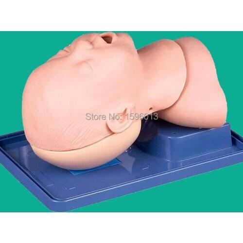 Infant Airway Management Model, Medical Airway Training model