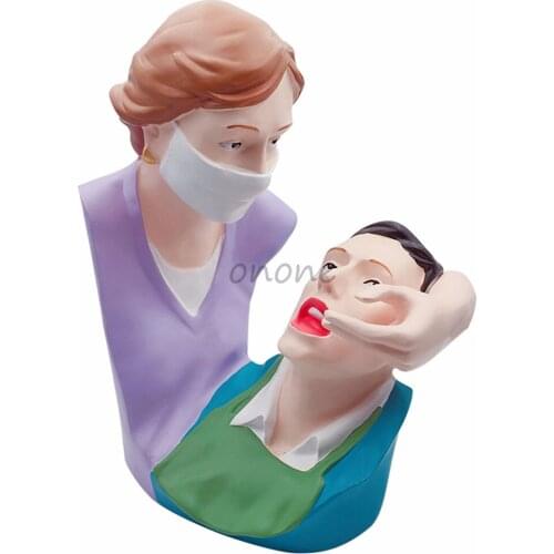 1pcs Dental Artware Teeth Model Dentist Patient Student Learning Model Creative Gifts Articles Sculpture