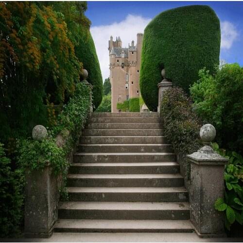 Castle Steps Cinderella staircase Garden backdrops Vinyl cloth High quality Computer print wall background