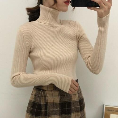 Long Sleeve Turtleneck Sweaters Women 2021 Autumn Winter Tops Slim Pullover Women Knitted Sweater Jumper Warm Pull Femme 16193