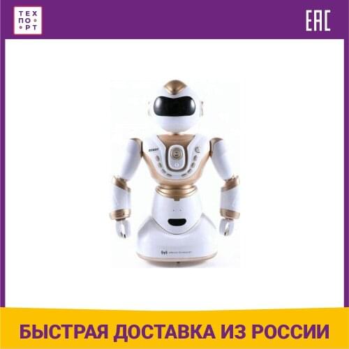 MEIZHI Radio Controlled Robots