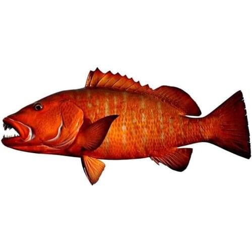 13cm X 6cm Red Snapper Fish Fishing Car Sticker Creative Waterproof Reflective PVC Decor Cubera Snapper Decals Car Accessories