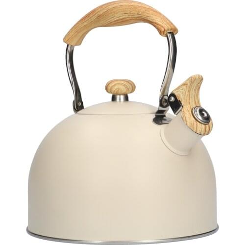 2.5L Whistling Teakettle Induction Cooker Kettle Stainless Steel Boiling Water Kettle Cooker Gas Stove General Steel Pot