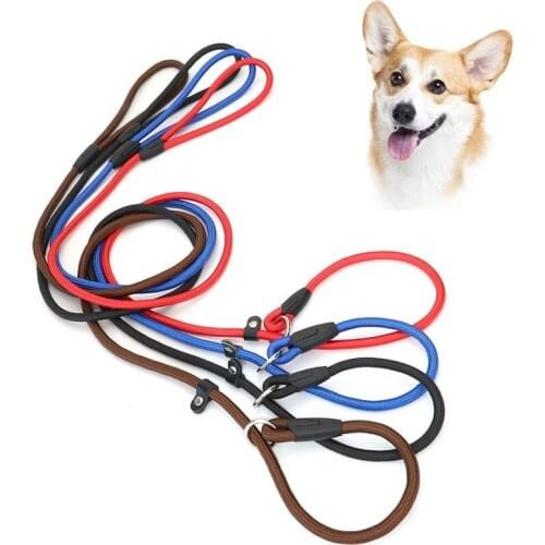 Dog Leash Running Walk Train For Large Small Cat Pets Leashes Dogs Leash Rope Nylon Tenacity 8 Colors 4 Sizes