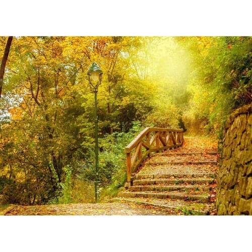 Yellow Trees Pathlet Vinyl Photographic Backgrounds Backdrops Photocall for Wedding Baby Children Photo Studio Photophone