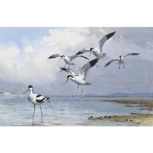 Watercolor pastoral birds egrets sea scenery oil painting canvas printings printed on canvas home wall art decoration picture