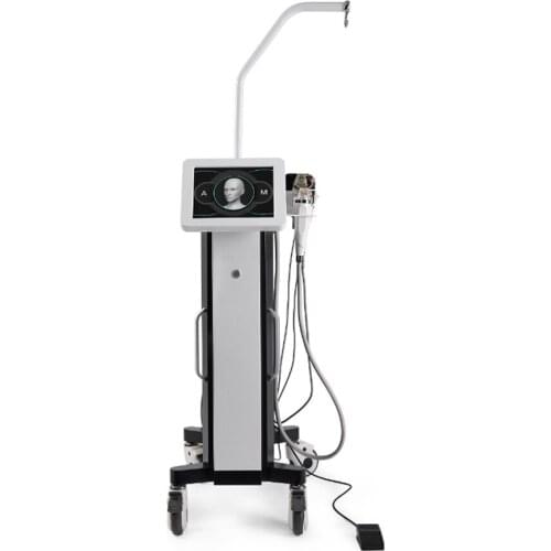 Hone Use Removal Wrinkles Rejuvenation Machine/Micro Needle Machine with Ice hammer