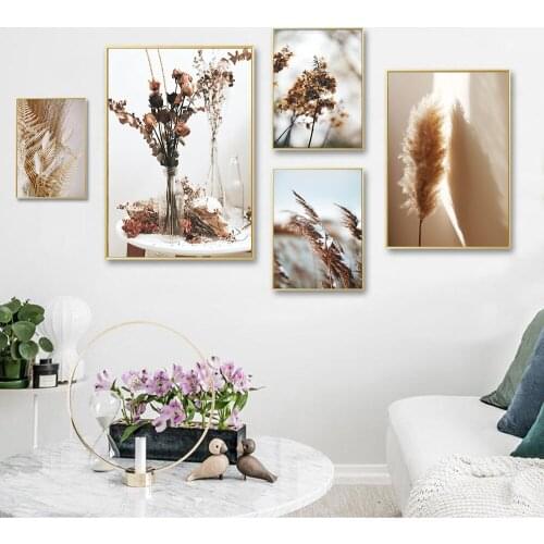Simple Nordic still life dry flower plant photography small pure and fresh sitting room combination art adornment picture porch