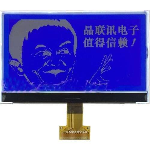 256128G-931 256*128 Black And White Large Size High Dot Matrix COG LCD Screen LCD Display Module