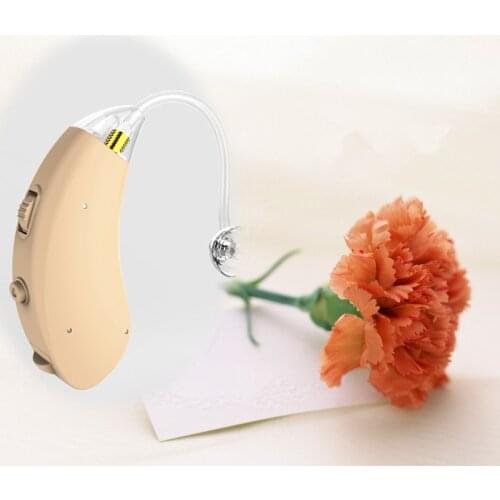 Cheap Newsound best quality hearing device ASANA220 open fit behind the ear digital programmable 2-channel hearing aid