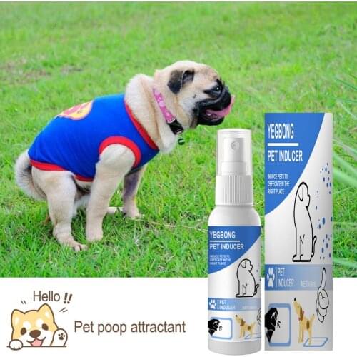 60ml Pet Training Spray Dog Potty Inducer Training Tool For Outdoor Toilet Training Puppy Positioning Potty Spray Dropshipping
