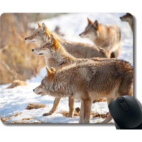 Mouse Pad Non-Skid Natural Rubber Rectangle Mouse Pads,Animal wolf navy Rubber Large Mouse pad Mat