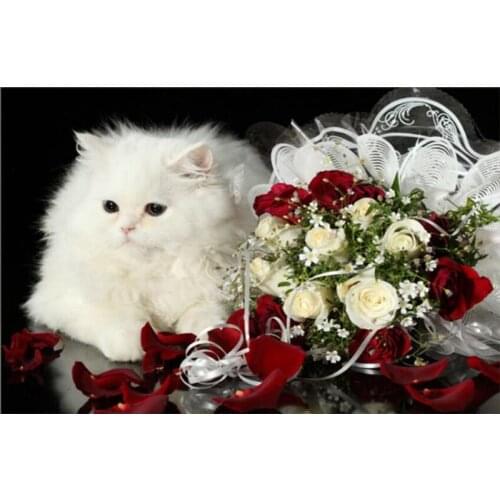 5D DIY Diamond mosaic diamond embroidery cute Cat and pink flower embroidered Cross Stitch home decoration Childrens gift GH126