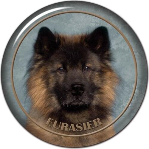 B0860# 13CM/17CM Self-Adhesive Decal Eurasier Dog V1 Car Sticker Decors on Bumper Rear Window Laptop