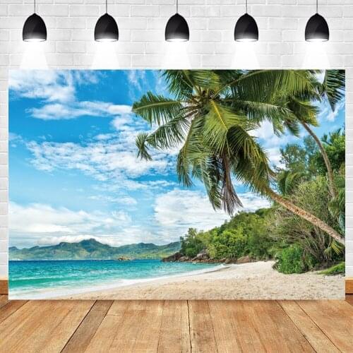 Summer Tropical Seaside Sea Beach Mountain Sky Nature Scenery Photography Backdrop Photographic Background For Photo Studio