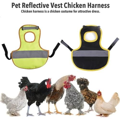 Pet Reflective Vest Chicken Clothes Poultry Hen Saddle Apron Feather Protection Holder for Chicken and Duck Pet Reflective Vest