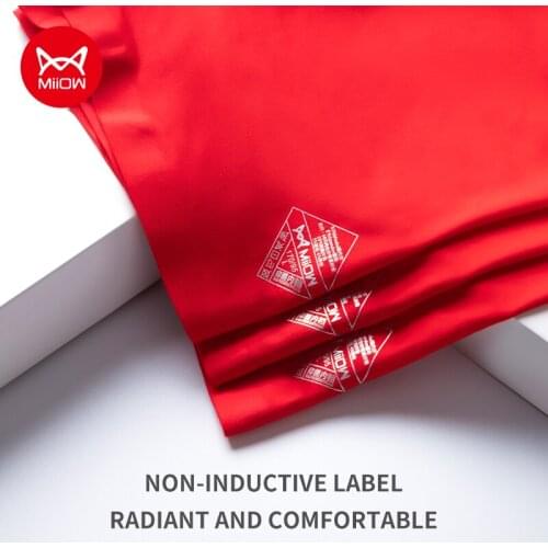 MiiOW Huitao 2Pcs Popular Modal Sexy Men Underwear Man Boxer Underpants Quick Dry Trunk Mens Panties Bxoers Shorts Boxershorts