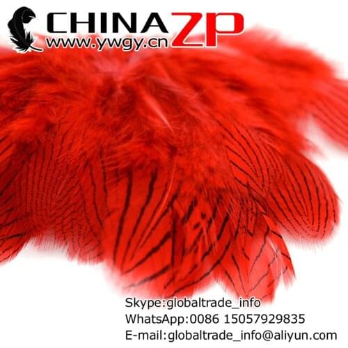 Gold Manufacturer CHINAZP Factory 500pcs/lot 8~10cm Length Best Quality Dyed Red Decorative Silver Pheasant Plumes Feathers