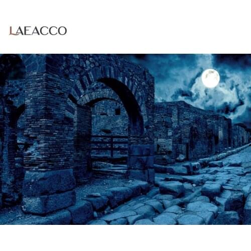 Halloween Backgrounds For Photography Dark Blue Night Scenic Moon Horrible Old Brick Town Street Party Decor Photo Backdrops