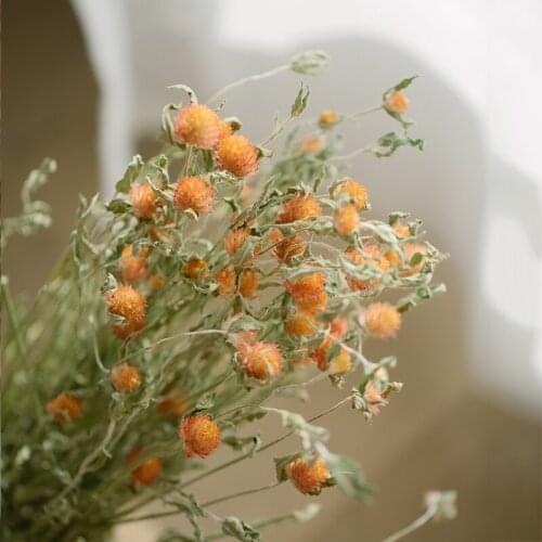 Natural Real Flower Ins Pink Dry Bouquet Fireball Flower Strawberry Fruit Shooting Props Flower Delivery Decorative Grass Long