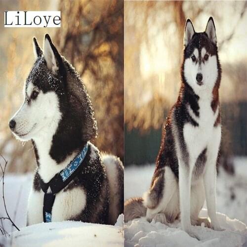 LI LOYE 5D Needlework DIY Diamond Painting Cross Stitch Snow Husky icon mosaic kit Diamond Embroidery Drill Home Decor Gift FZ96