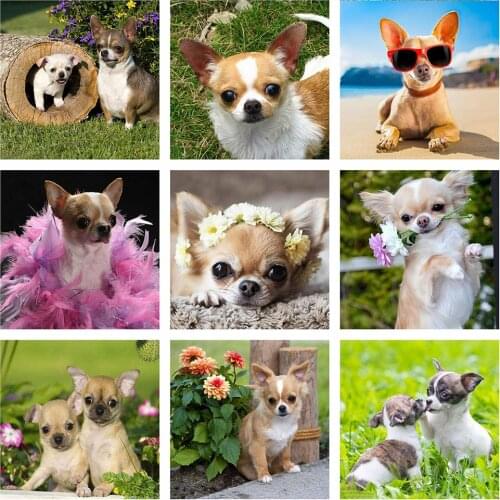 Evershine Diamond Painting Full Square 5D DIY Dog Cross Stitch Kit Embroidery Animals Rhinestone Pictures Home Decoration