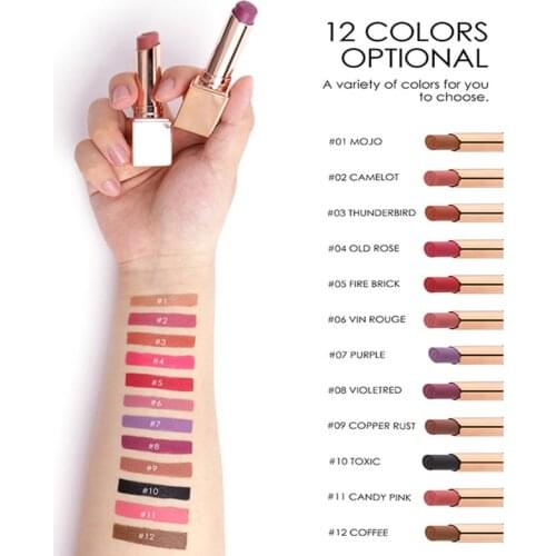 12 Colors Matte Waterproof Velvet Lipstick Sexy Red Brown Pigments Makeup Black Water-Resistant Profissional Lipstick TSLM1