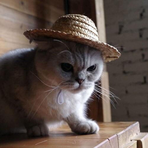 New Pet Supplies Mini Pet Dogs Straw Hat Cat Sun Hat Beach Party Straw Hats Dogs Hawaii Style Hat for Dogs Funny Accessories