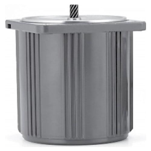 M61A6G4W, Panasonic AC Motor(Gear Motor,Induction motor), 220V 50/60Hz 6W 60mm, 100% New original authentic