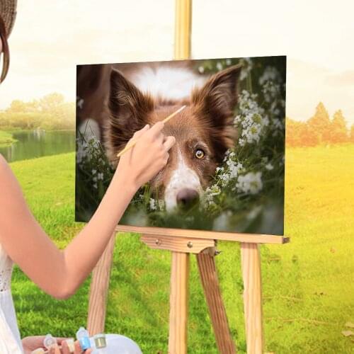 Animal Border Collie Paint By Numbers Set Oil Paints 50*70 Painting On Canvas Home Decor Crafts For Adults Handicraft Art