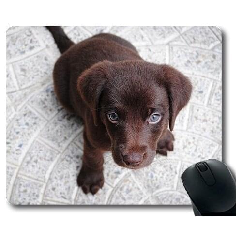 Dogs puppies pets Mouse Pads,Puppy Labrador Purebred Retriever Dog Pet Brown,dogs mouse mat