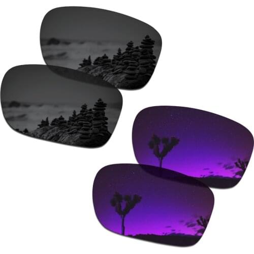 SmartVLT 2 Pairs Polarized Sunglasses Replacement Lenses for Oakley Holbrook Stealth Black and Plasma Purple