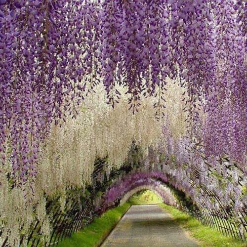 New 1.1 Meter Long Elegant Artificial Silk Flower Wisteria Vine Rattan For Wedding Centerpieces Decorations Bouquet Garland Home