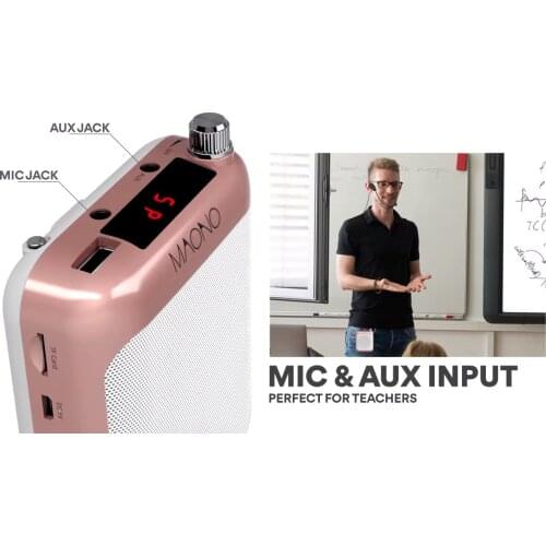 Oem support Smart Classroom MP3 mike speaker conference