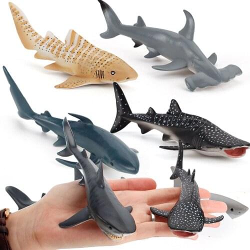 Funny Simulated Marine Animals Model Girl Boy Toy Hammerhead Blue Whale Great White Shark Ornaments Kids Learning Education Gift