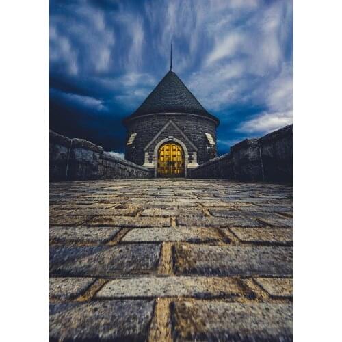 Retro Brick Building Photographic Backdrop Customized Photocall Background Photo Studio for Children Baby Portrait Photophone