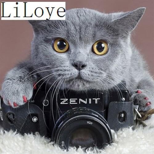 LI LOYE camera 5D Diamond embroidery Cat Handmade mosaic DIY Diamond painting cross stitch Kit full Round decor painting QW715