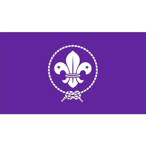 BOY SCOUT Flag 3x5FT Banner 100D 150X90CM Polyester Brass Grommets Custom66,Light Up Popular Factory Price Premium Quality