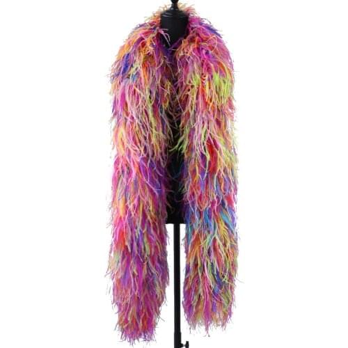 10 Ply Ostrich Feather Boa Various Color Stage Clothing Plumes Shawl 2 Meters for Cosplay Party Clothing Decoration Accessory