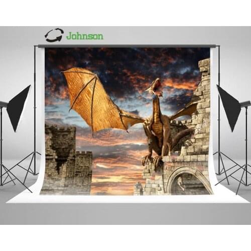 Dragon Castle Sky backdrops polyester or Vinyl cloth High quality Computer print wall photo studio background