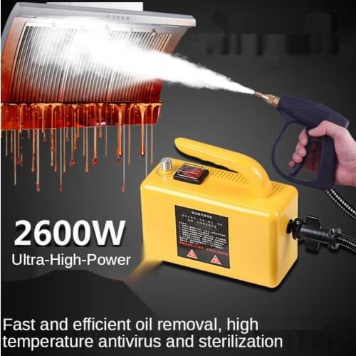 Multifunctional Portable Handheld Steam Cleaner Powerful Steam Cleaner Disinfection Machine Sterilization and Removal of Mites
