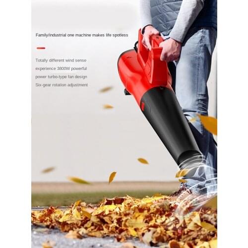 AC220V 3800W 3000-17000RPM Blower Hair Dryer Cleaning Ash and Blowing Leaves Industrial Electric Dust Collector